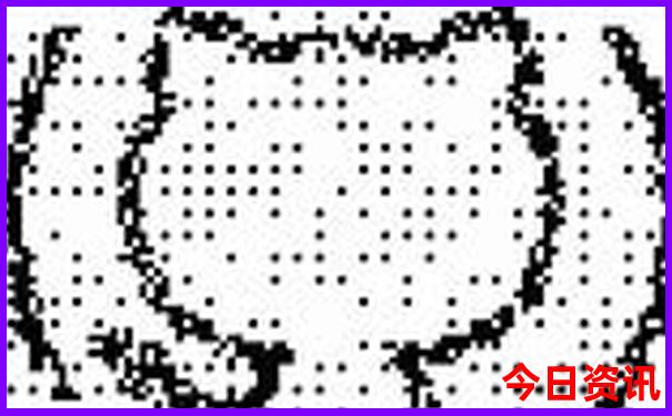 桑科草原旅游景点介绍